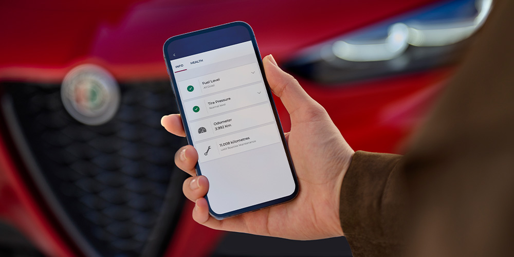 Alfa Connect Services