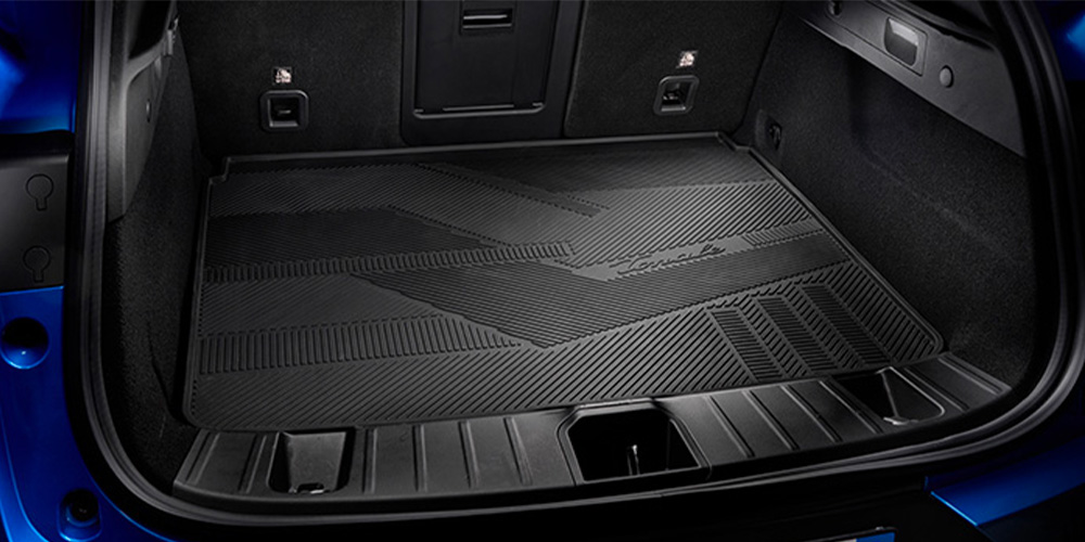 Trunk cover